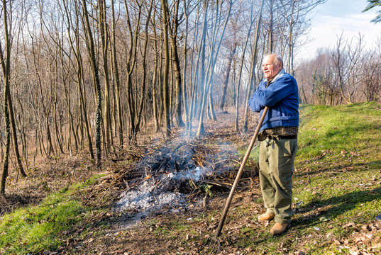 Senior man is burning leaves in the garden, autumn season.
