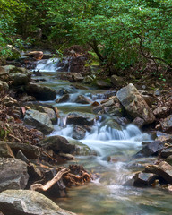 A small stream flows through the woods of Talladega National Forest in Alabama, USA