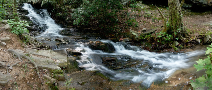 A small stream flows through the woods of Talladega National Forest in Alabama, USA