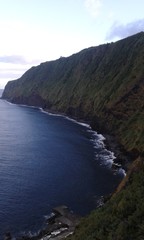 Fototapeta na wymiar cliff in Açores