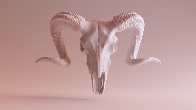 Ram skull horn skull clay isolated halloween tomb white mystical 3d illustration render digital rendering