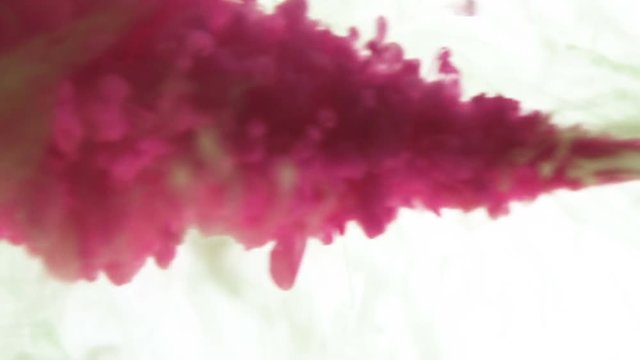 Closeup pink ink being poured into water with green ink already dropped over white background - video in slow motion