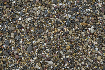 Pebbles texture
