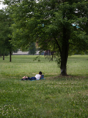 Naklejka na ściany i meble Young Girl Relaxed on Grass Surfing Internet on Laptop