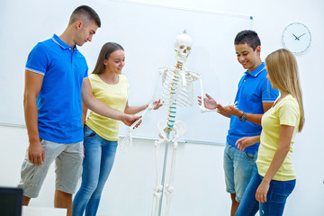 Students with model of human skeleton