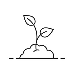 Growing sprout linear icon