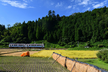 田園風景と三江線