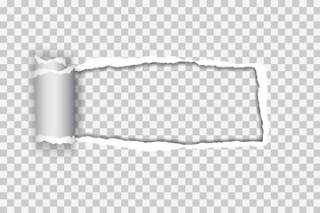 Set vector realistic illustration of transparent torn paper with rolled edge on transparent background