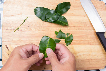 Chef shred kaffir lime leaves by hand.
