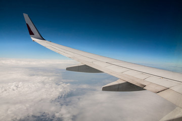 travel the world