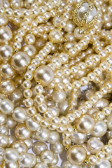 Macro Close Up of Beautiful Real Pearls and Necklaces Background