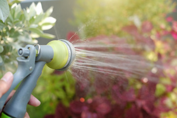 watering plants and flowers with garden hose