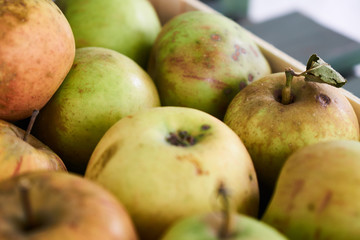 Äpfel aus biologischem Anbau