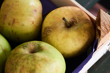 Äpfel aus biologischem Anbau