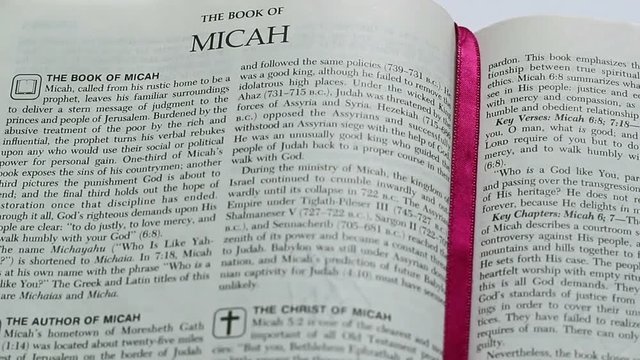 The Book Of Micah