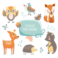 Forest animals collection