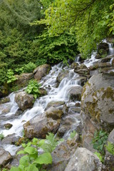 Fototapeta premium Wasserfall