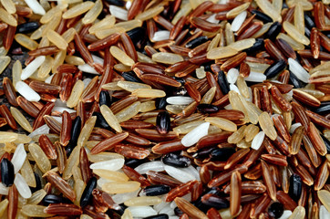 variety of rice