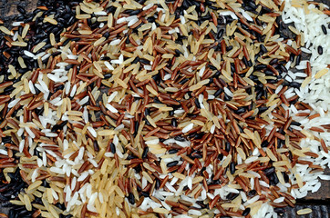 variety of rice