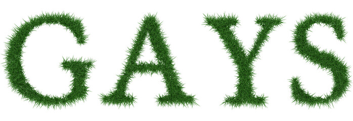 Gays - 3D rendering fresh Grass letters isolated on whhite background.