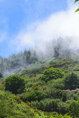 Fototapeta na wymiar Fog on the Mountains on Grand Canary