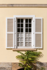 Fototapeta na wymiar Fenster mit Fensterladen eines historischen Gebäudes