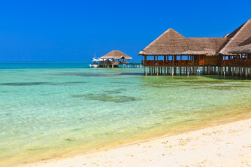 Cafe on tropical Maldives island