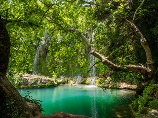 Scenic waterfall in the beautiful green forest. Turkey
