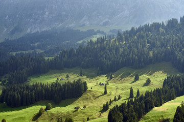 Obraz premium Am Fusse des Hohgants in den Berner Voralpen