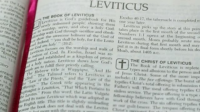 The Book Of Leviticus