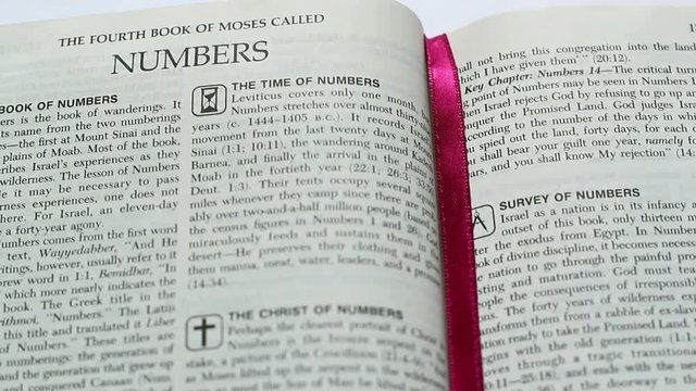 The Book Of Numbers