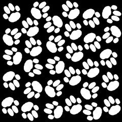 Dog paws background black and white.