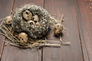 quail eggs in a nest over old wooden background
