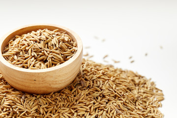 Brown paddy rice closed up