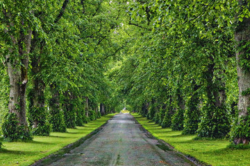 Obraz premium Scotland