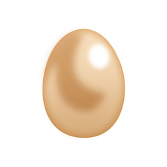 Brown Egg. Egg realistic on a white background.