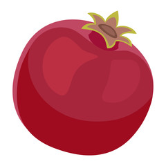 Pomegranate Fruit Design Juicy Fresh Icon Template. Raw Pomegranate Vector Illustration Isolated on White Background.