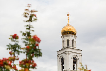 Ripe orange berries of the Rowan tree and the Orthodox Church in the background. The City Of Samara, Russia. The Iversky monastery