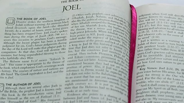 The Book Of Joel