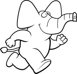 Elephant Running