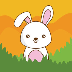 cute rabbit icon over colorful background vector illustration