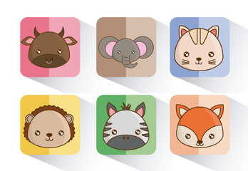 cute animals icons over colorful squares and white background vector illustration