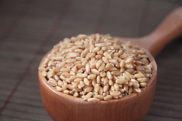 Indian Wheat with Wooden Scoop