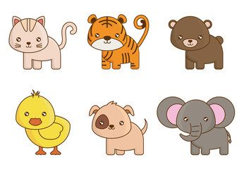 cute animals icons over white background colorful design vector illustration