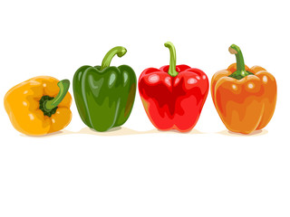 Bell pepper