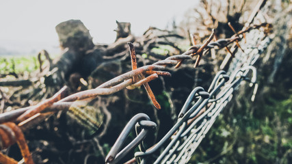 Naklejka premium barbed wire as a dividing line