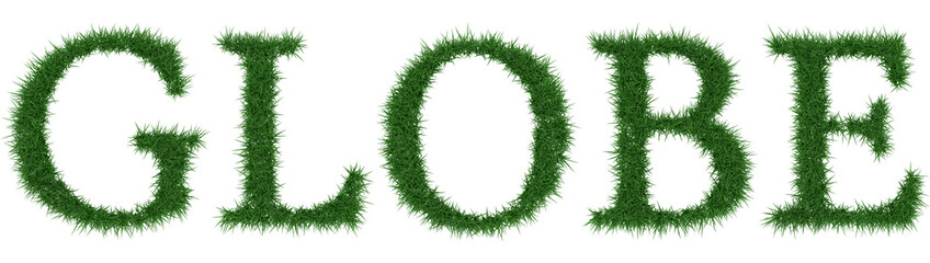 Globe - 3D rendering fresh Grass letters isolated on whhite background.