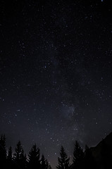 Via lattea nel bosco