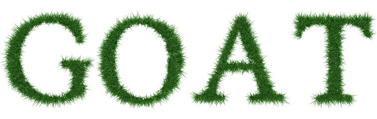 Goat - 3D rendering fresh Grass letters isolated on whhite background.