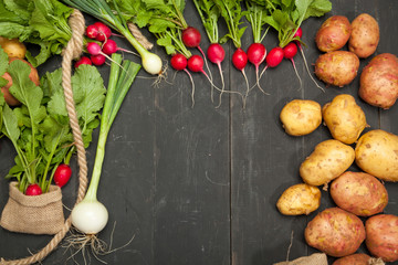 Fresh vegetables, radishes and potatoes on a black wooden background